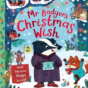 Mr Badger's Christmas Wish - Lift the Flap Book