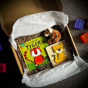 Let's Find The Tiger - Book Box
