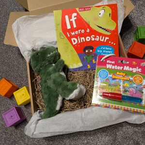 If I Were a Dinosaur Book Box