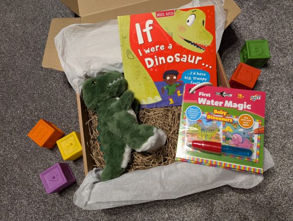 If I Were a Dinosaur Book Box