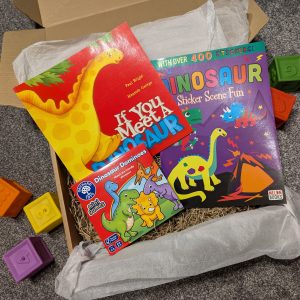 If You Meet a Dinosaur Book Box