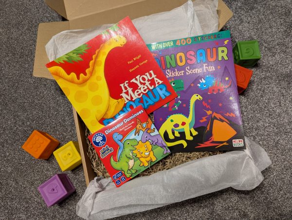 If You Meet a Dinosaur Book Box